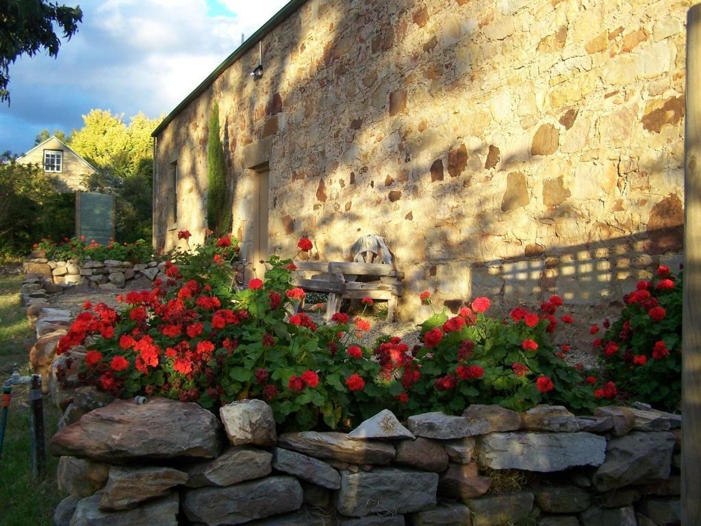 Cleburne Homestead Risdon Quarto foto